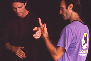 Push-Hands-Training mit Luis Molera, Holland